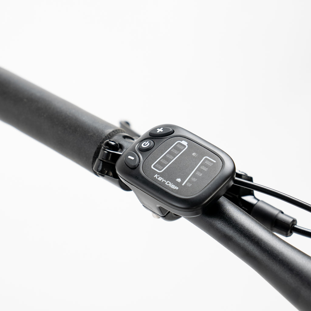 Ceres eZy Electric Fixie Bike